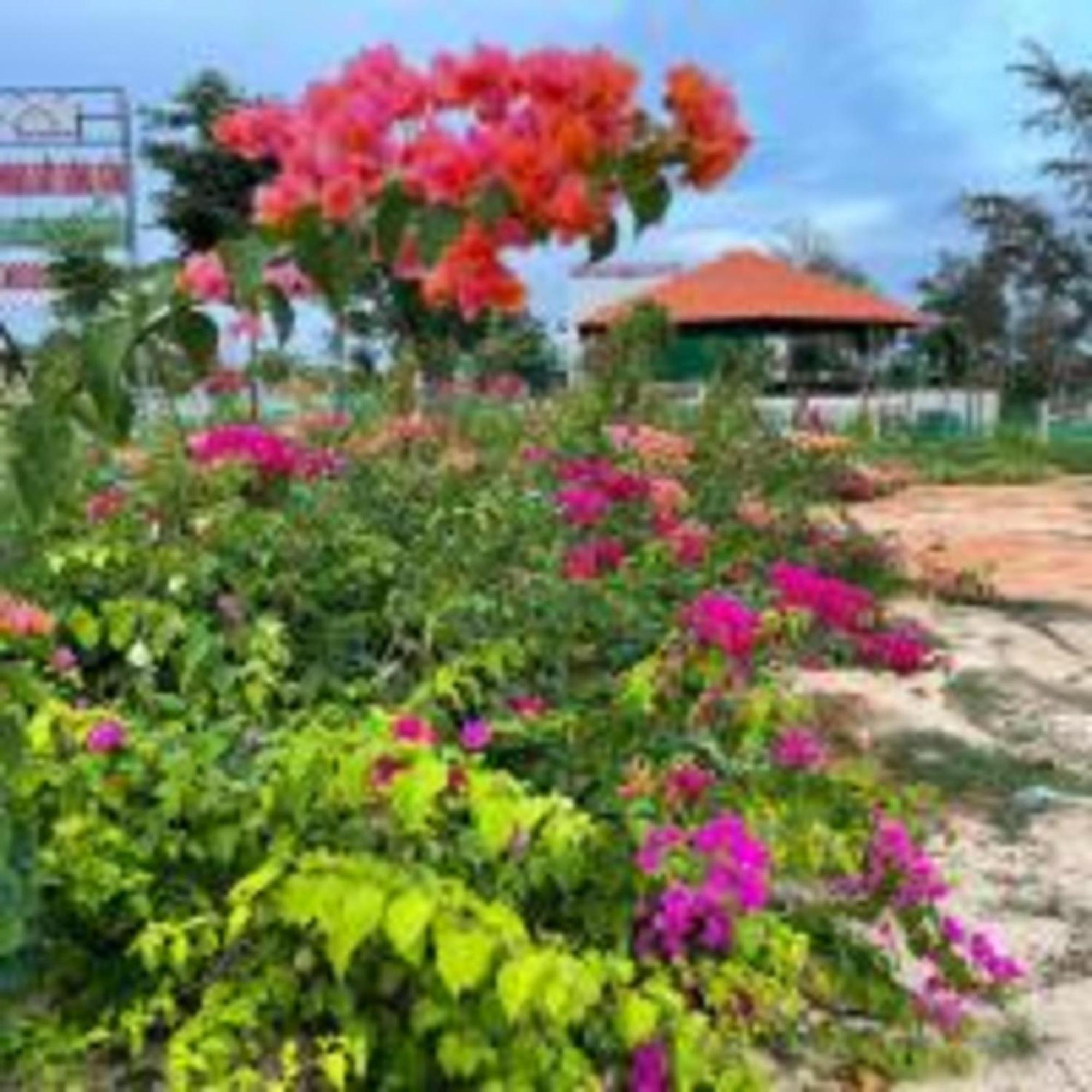 Duc Luu Quang Hotel Binh Thuan Tuy Phong Exterior photo